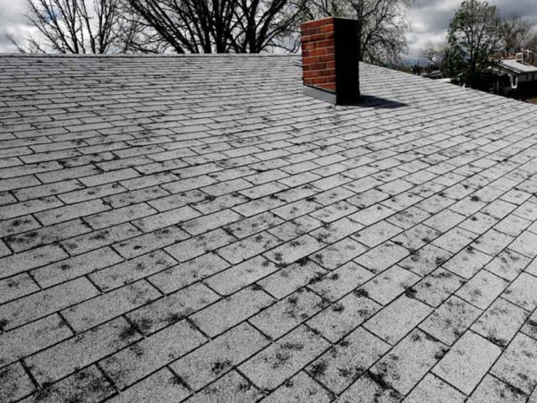Roof hail damage picture