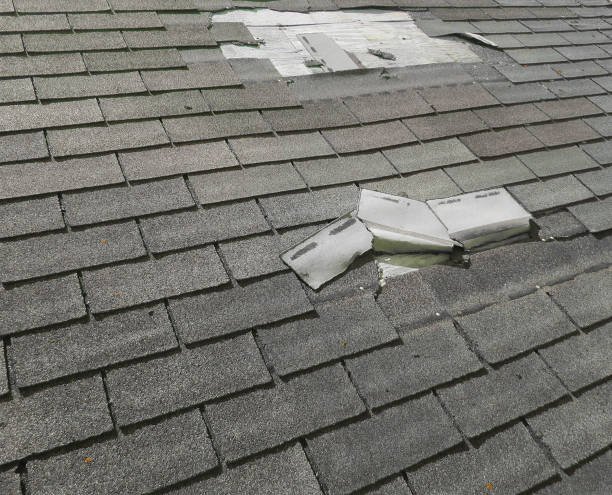 Roof hail damage picture