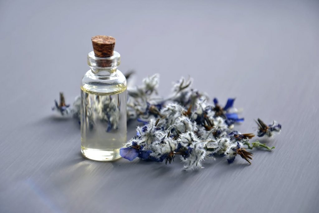What Scents do bed bugs hate? Essential oils