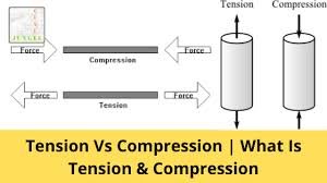Tension Wood